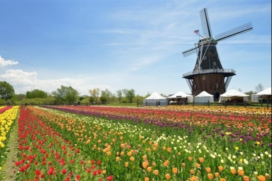 Holland